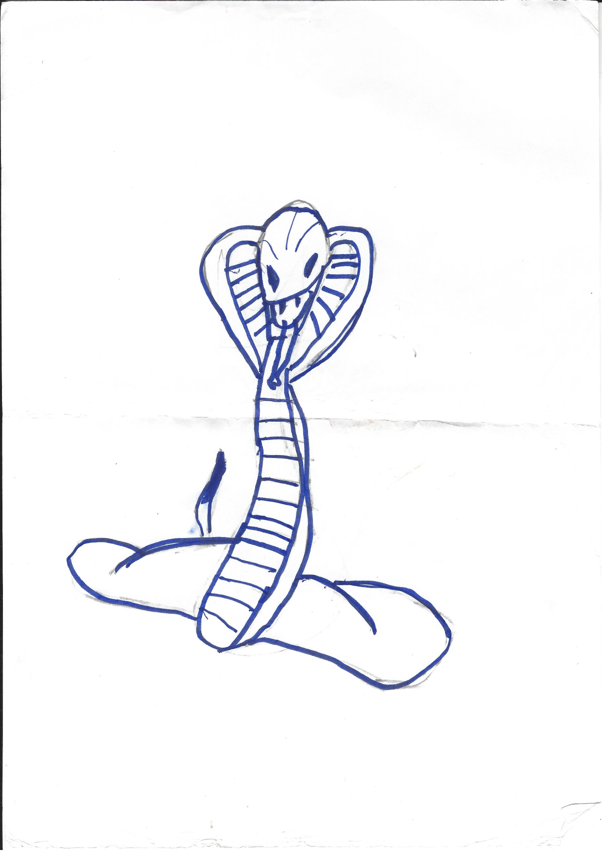 A Cobra | 2013~