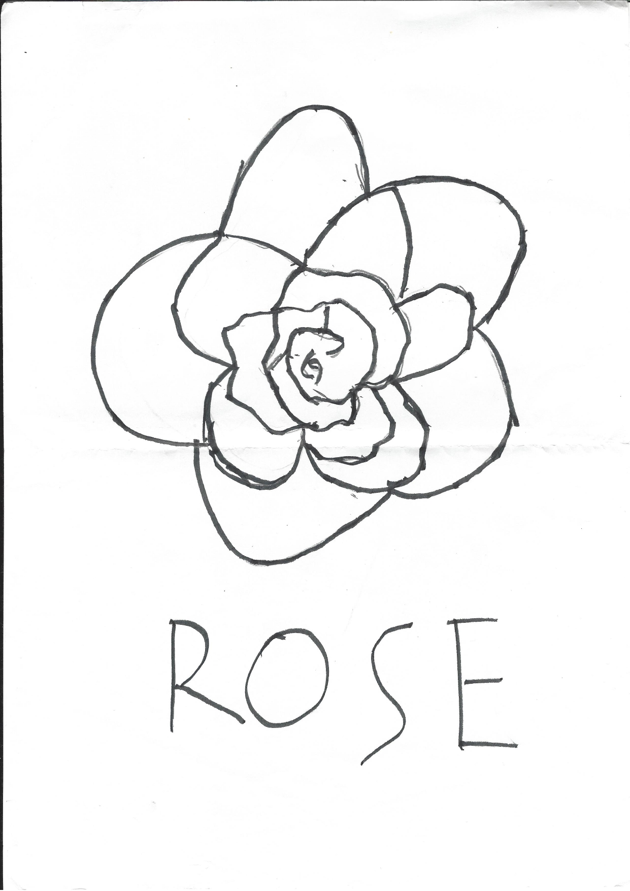 A Rose | 2012~